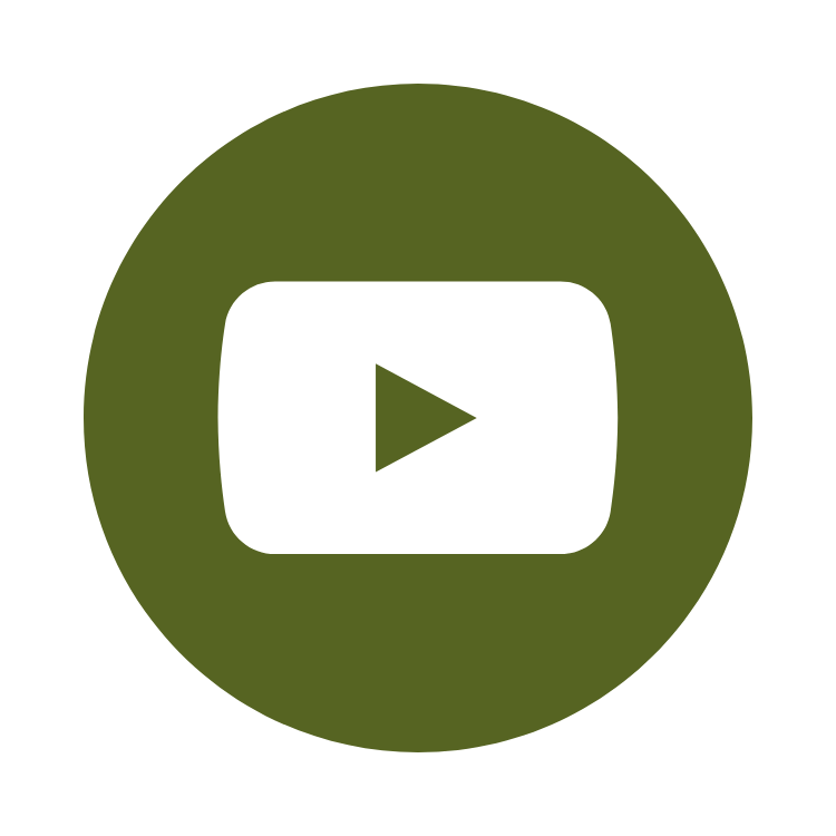 YouTube icon